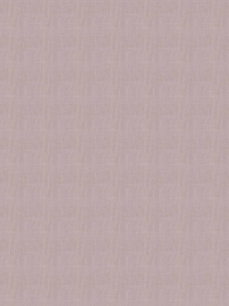 Neighbor – Lilac