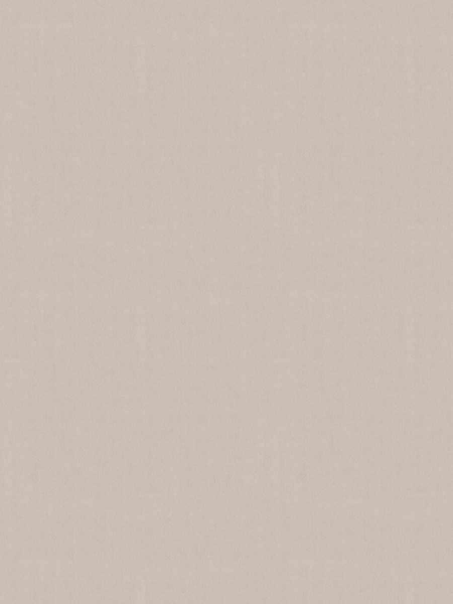 Prose – Wisteria