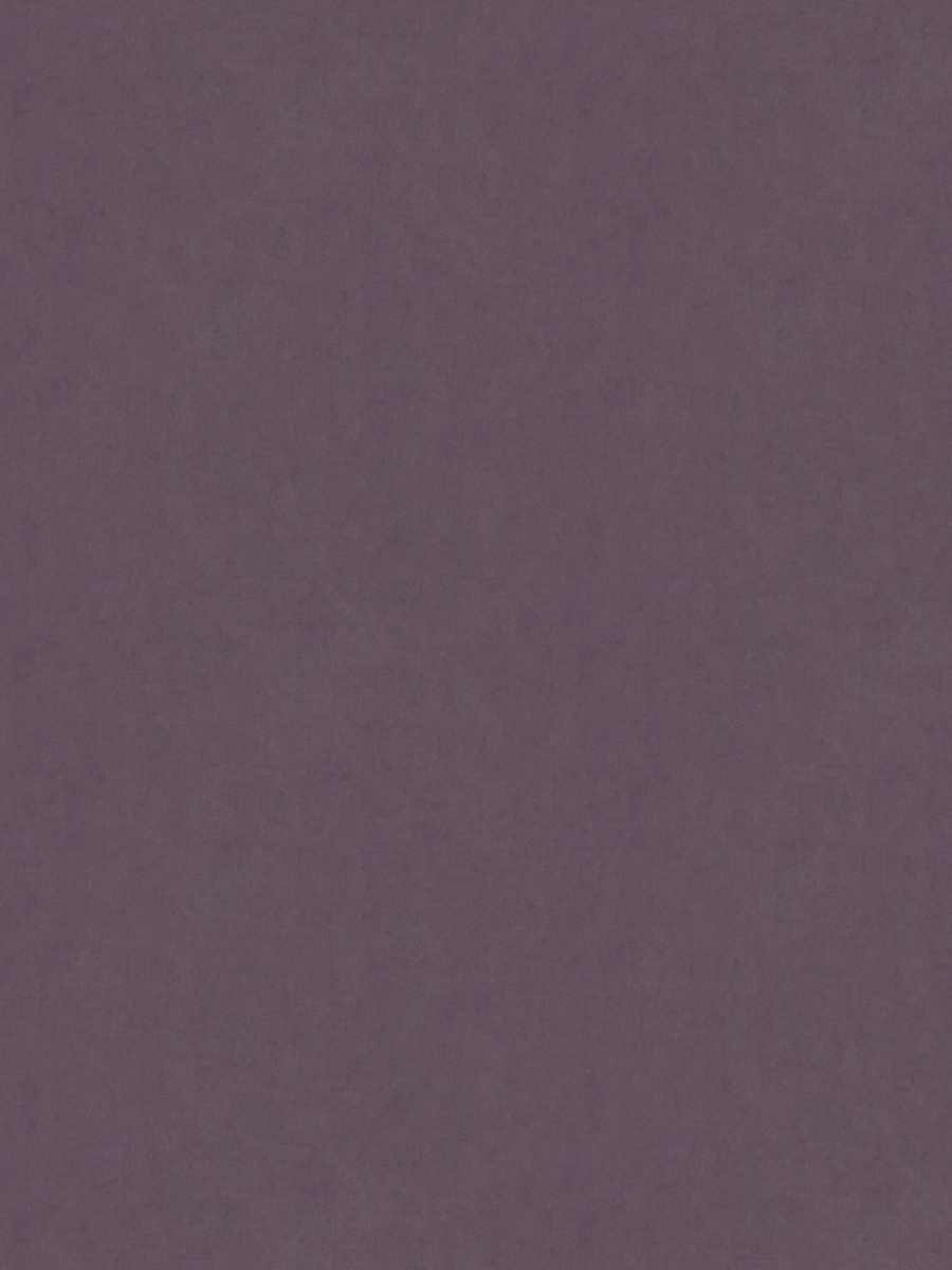 Prose – Lilac