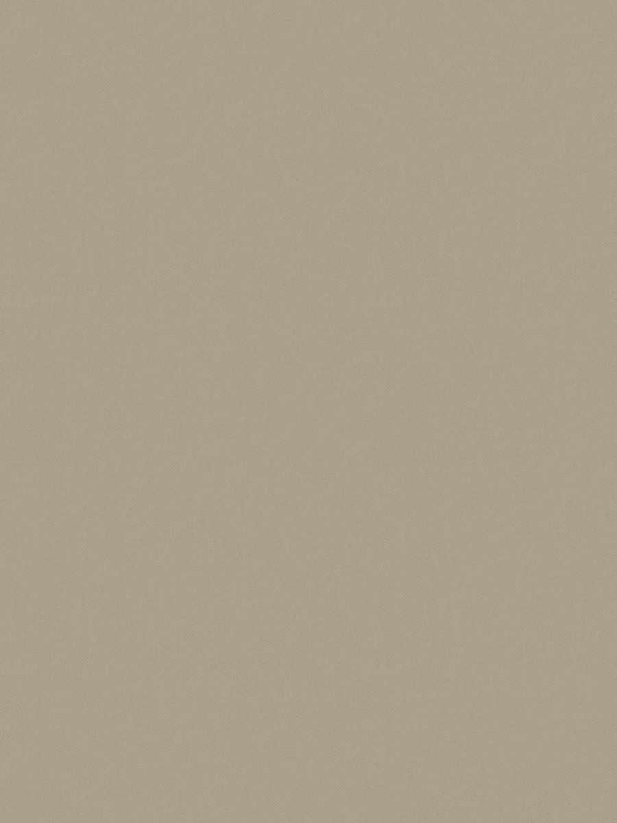 Boone – Stucco