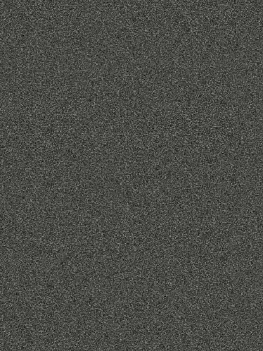 Grinnell – Shadow