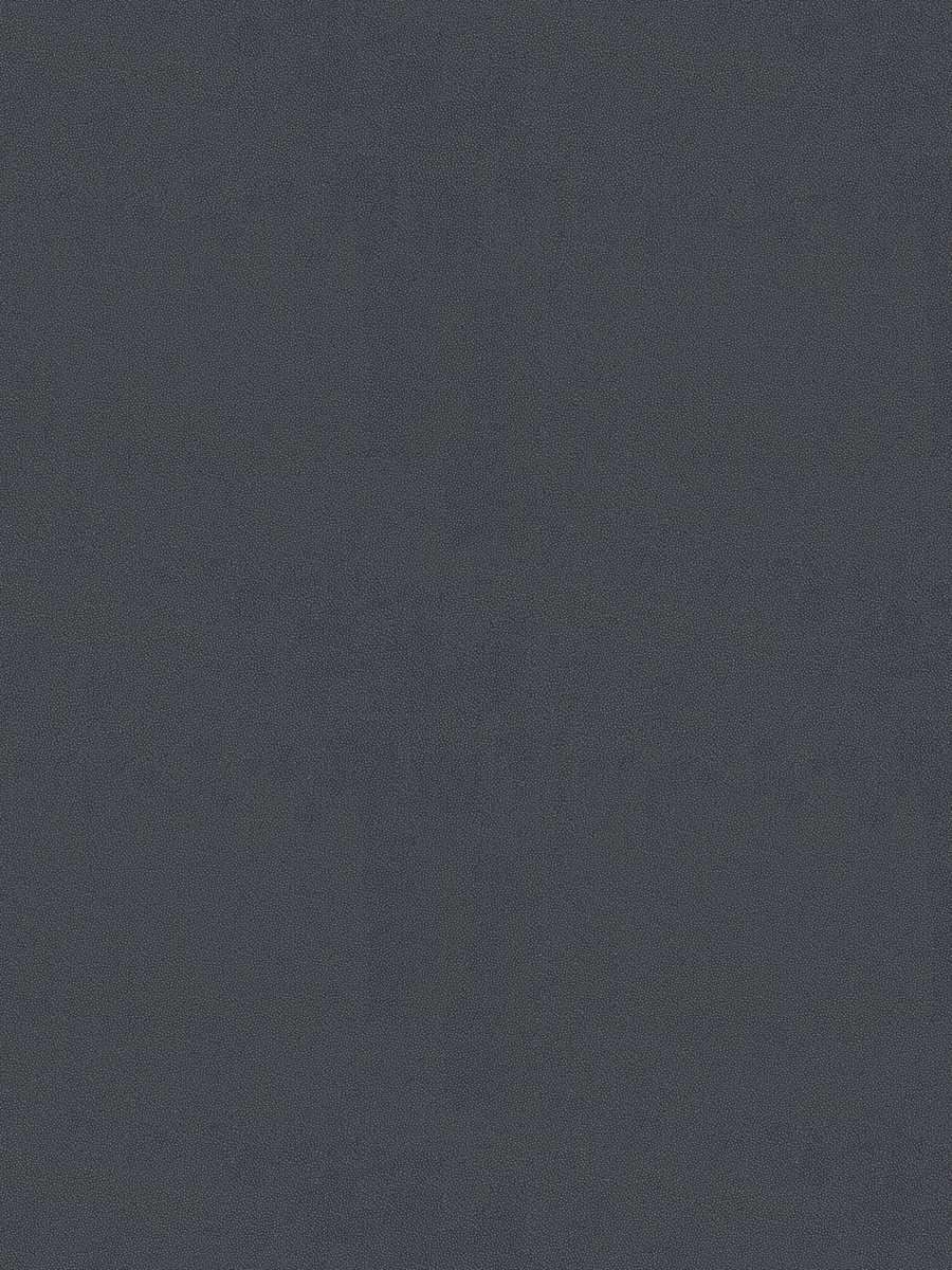 Grinnell – Navy