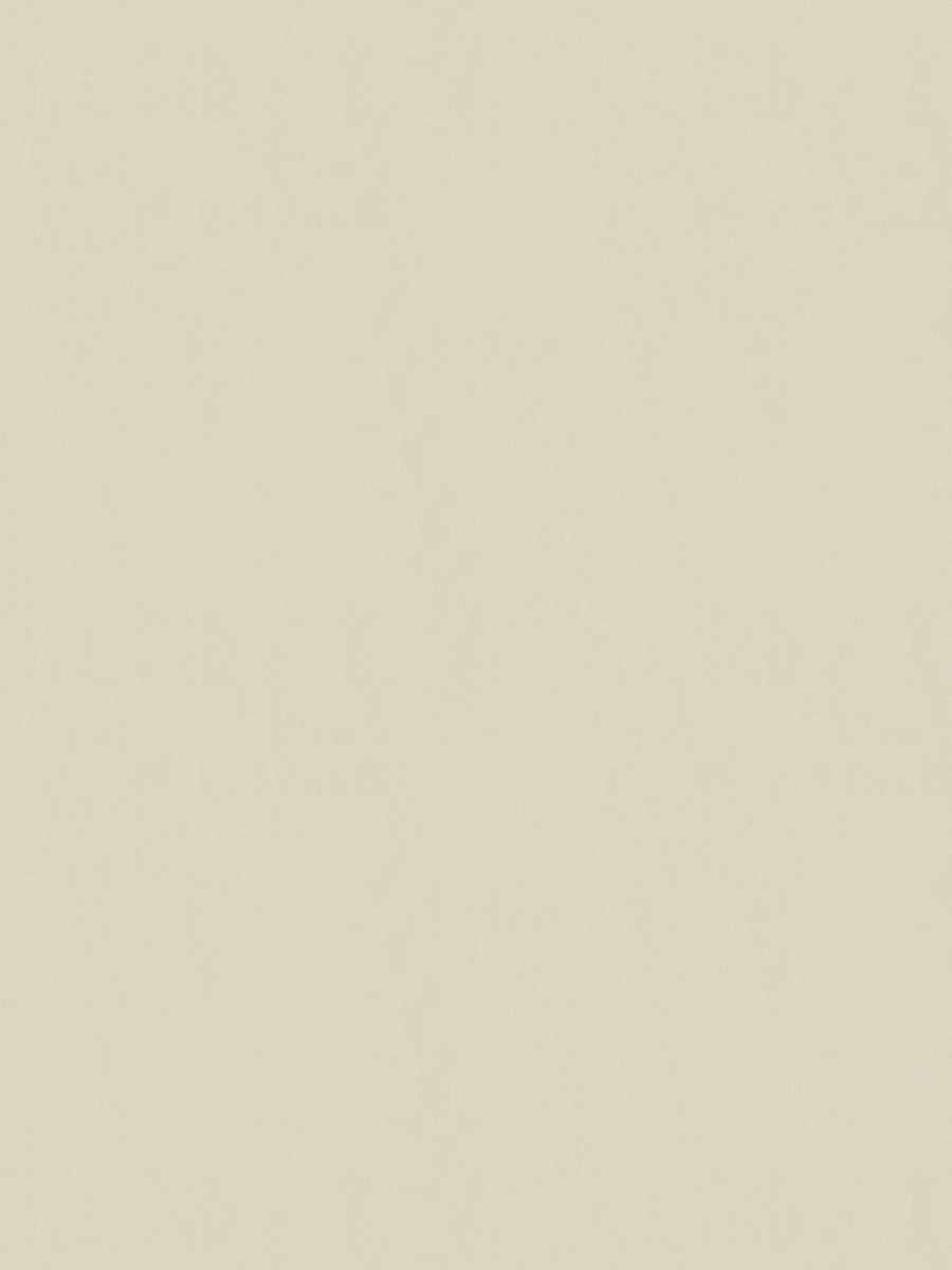 Butler – Coconut