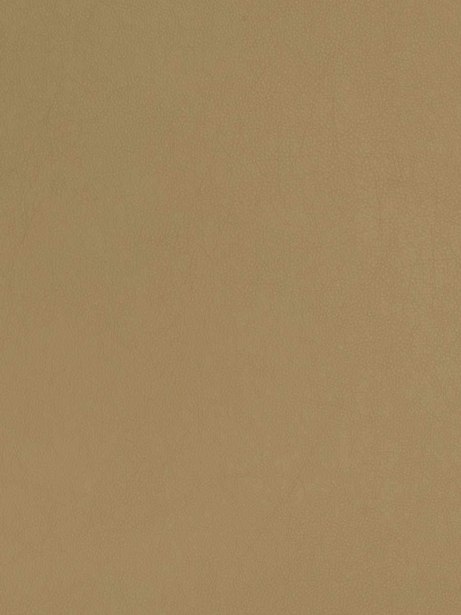 Moorhead – Buff