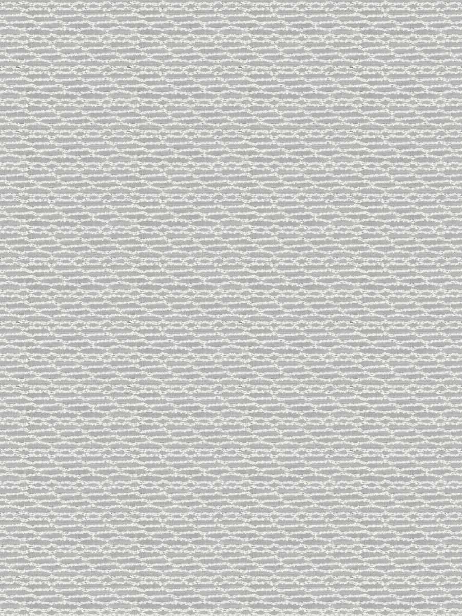 Nuri – Dolphin