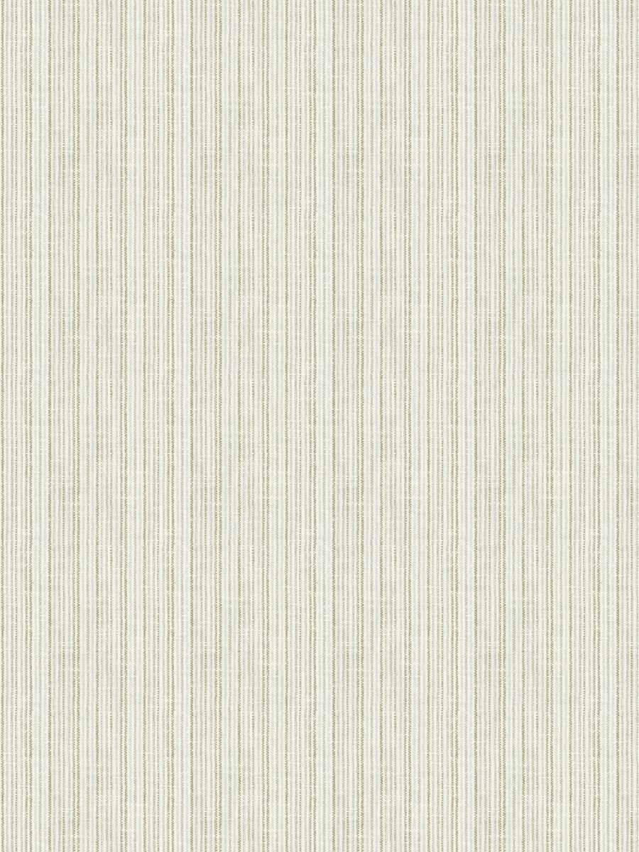 Vancho – Birch