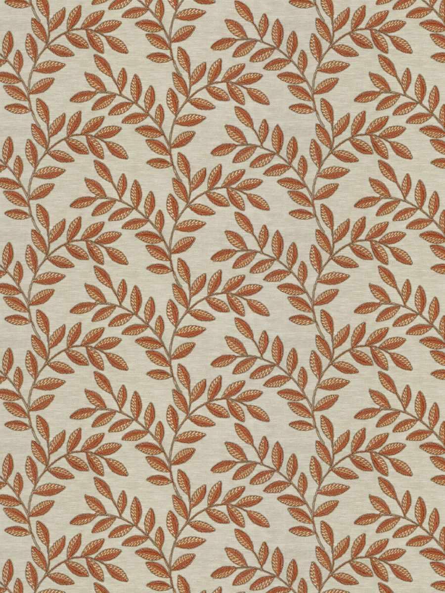 Lophelia – Coral