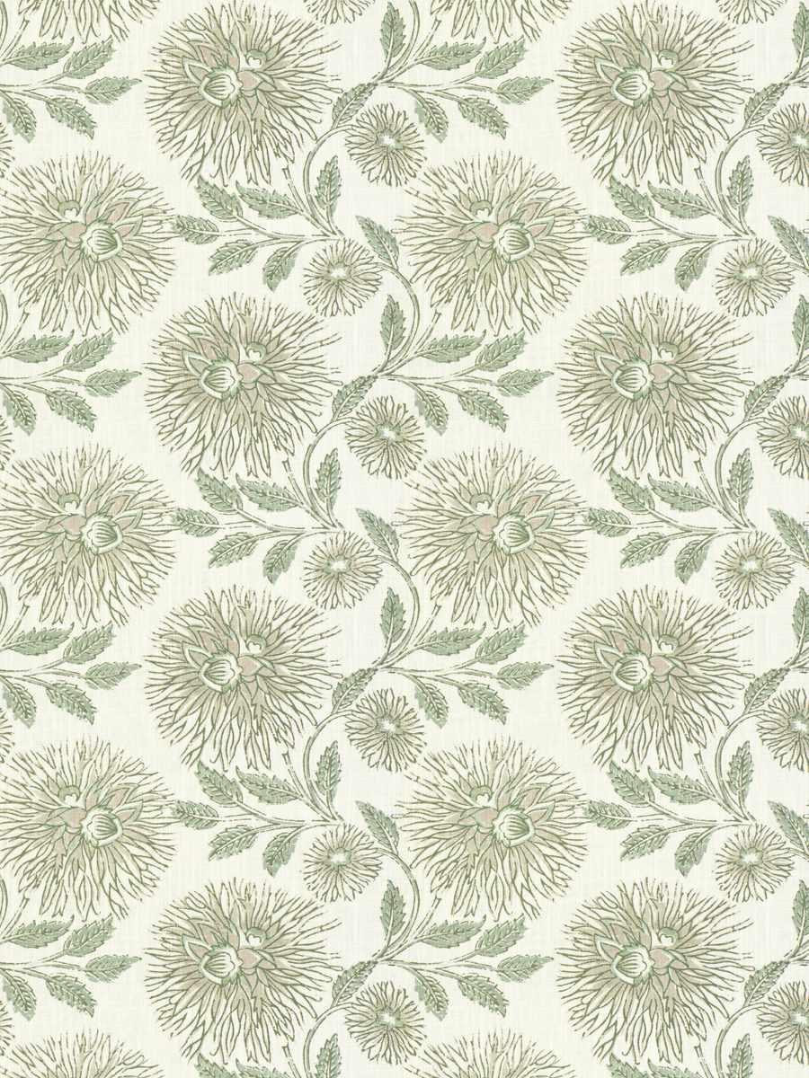 Romna – Fennel