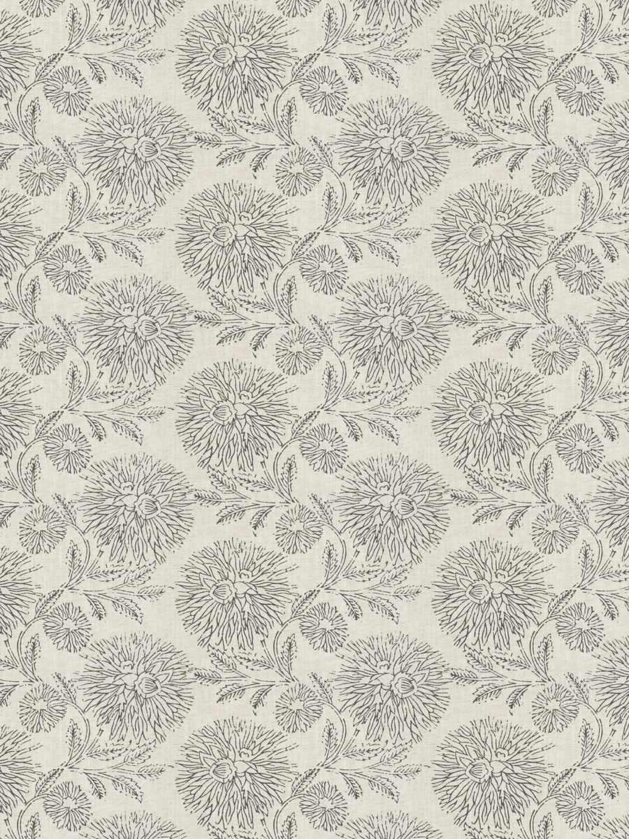 Euphrasia – Charcoal