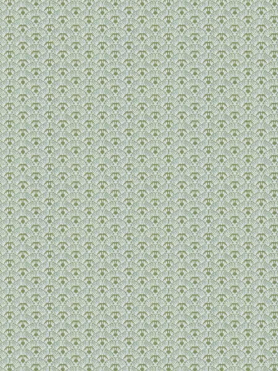Eulla – Meadow