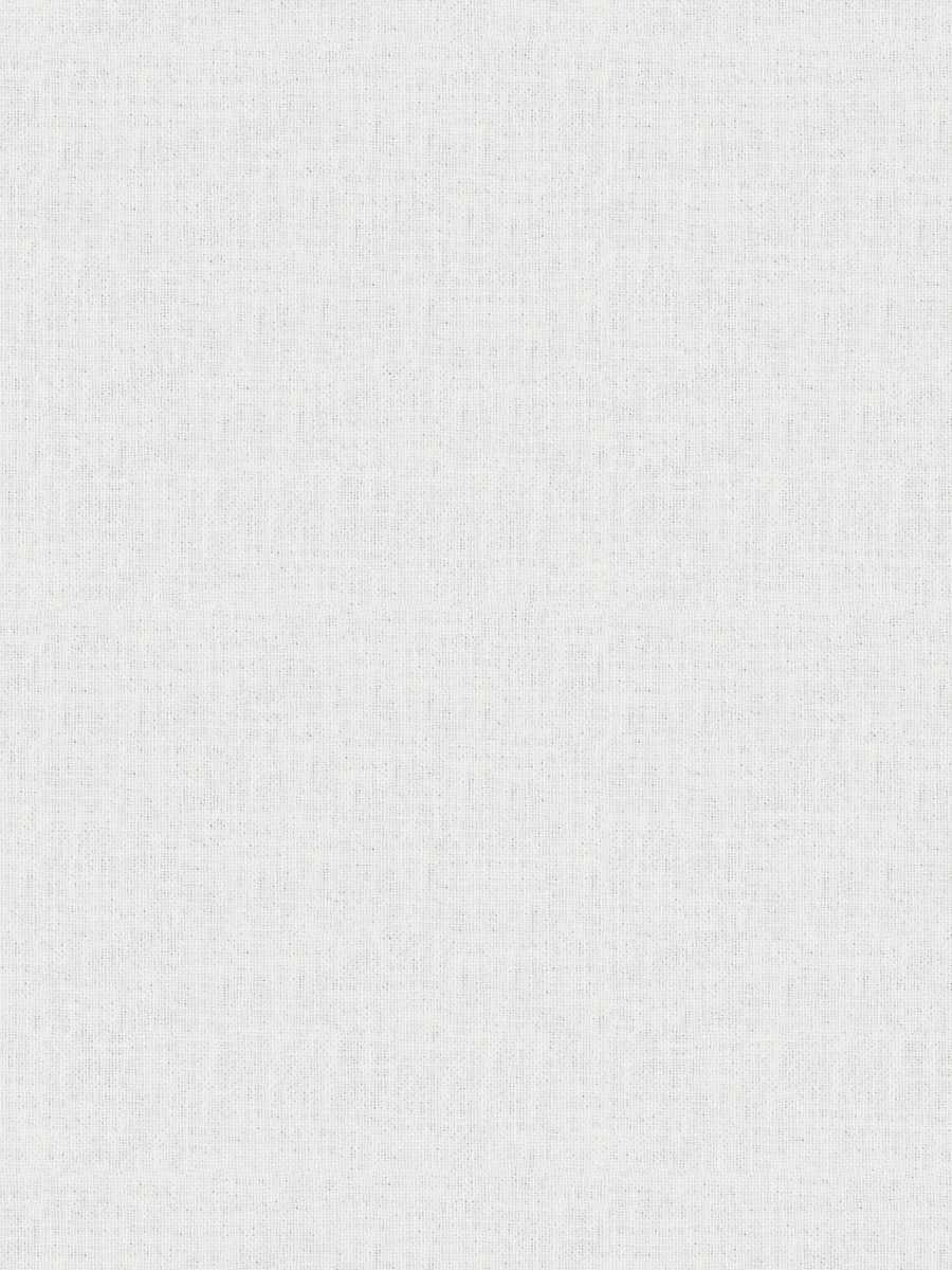 Alpine – Snow