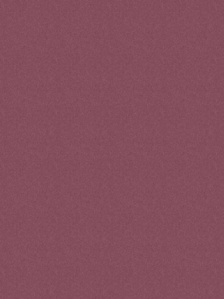 Dillon – Purple
