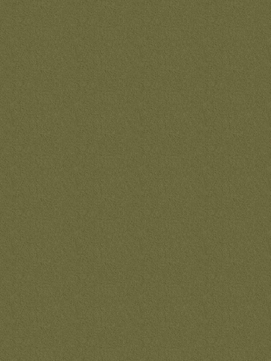 Dillon – Olive