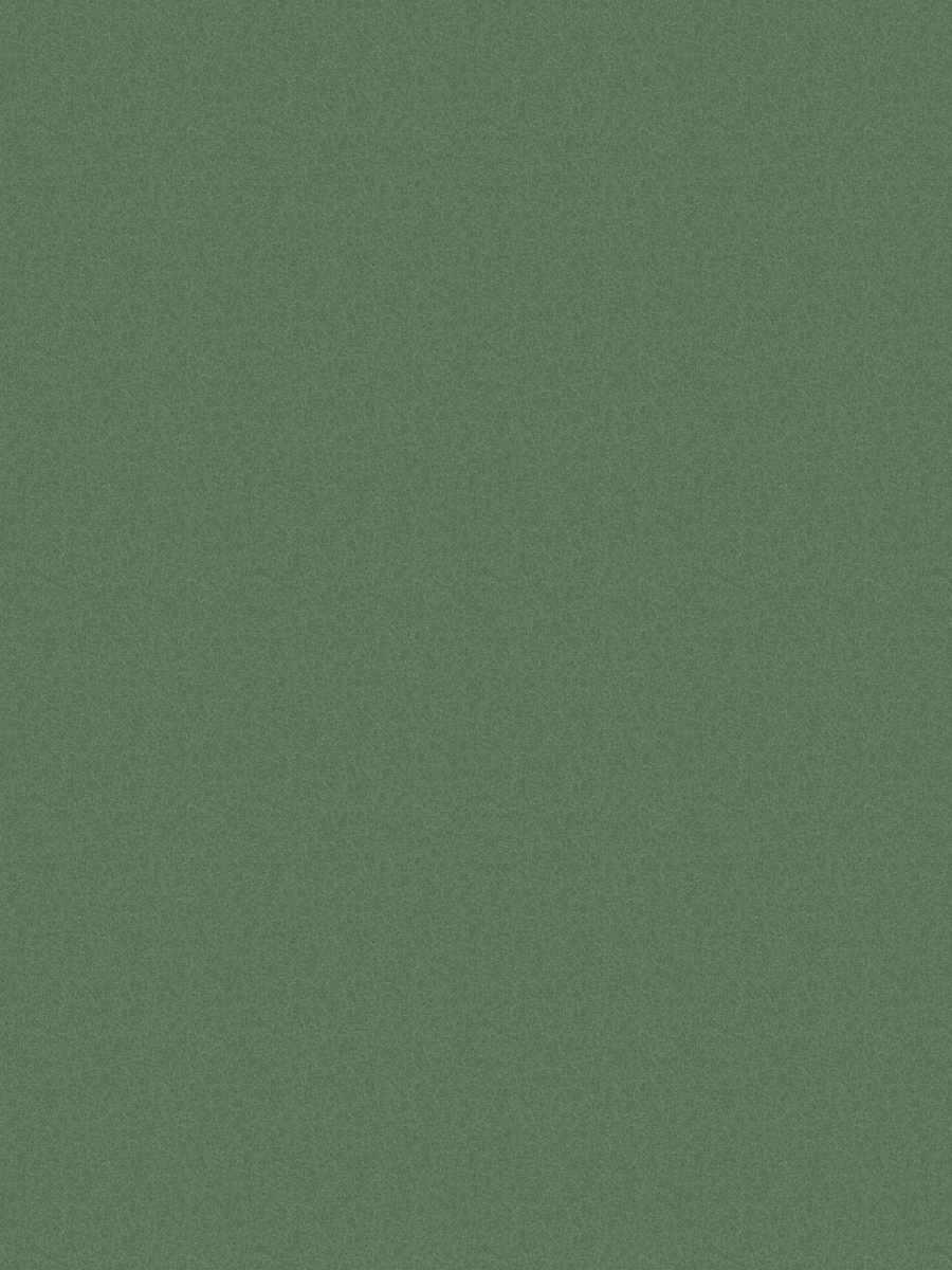 Dillon – Pesto