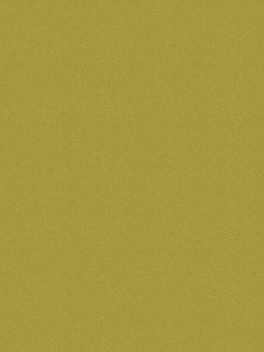 Dillon – Moss