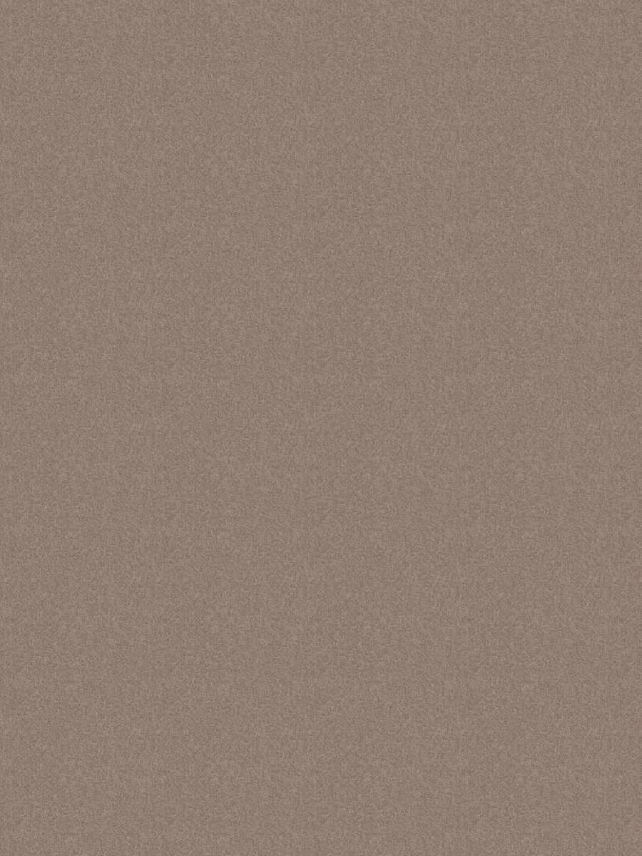 Dillon – Fossil