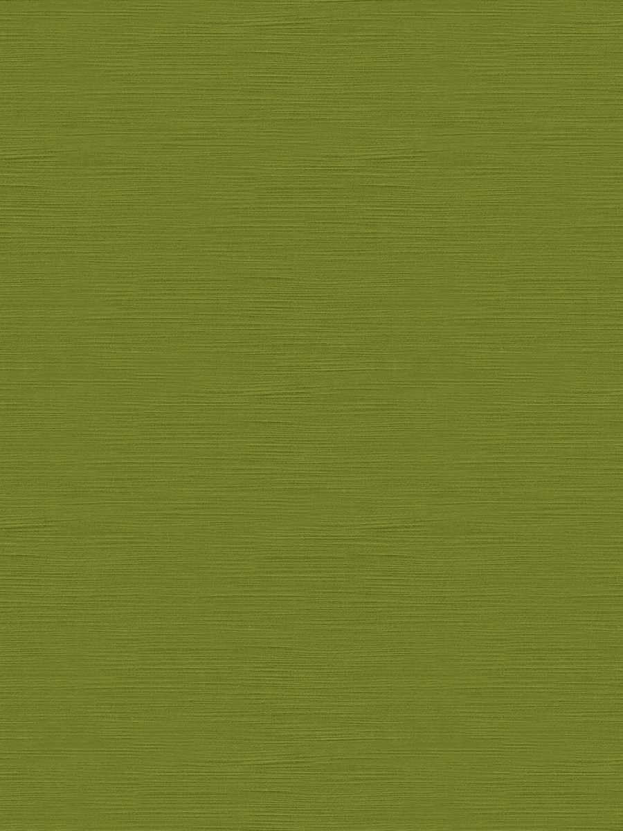 Monarch Satin – Fern