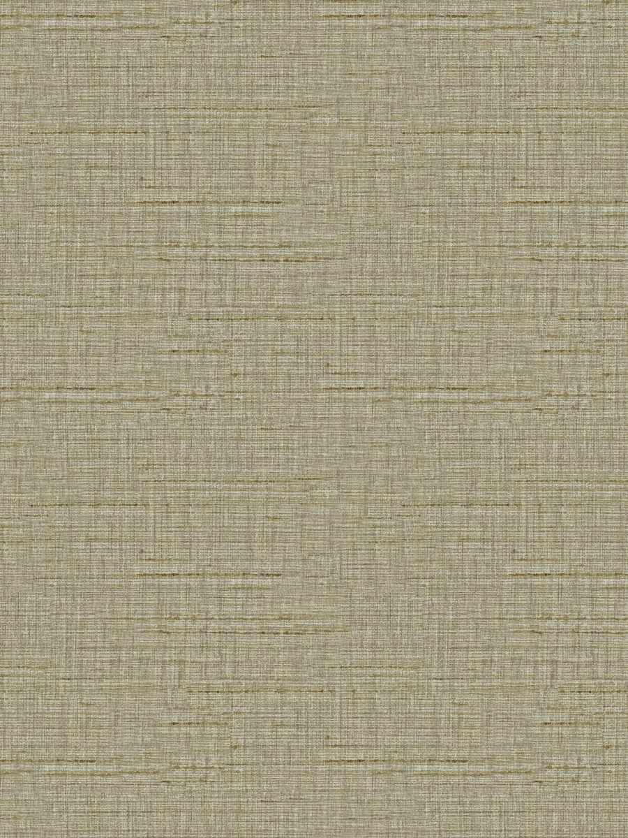 Tomesha – Bamboo