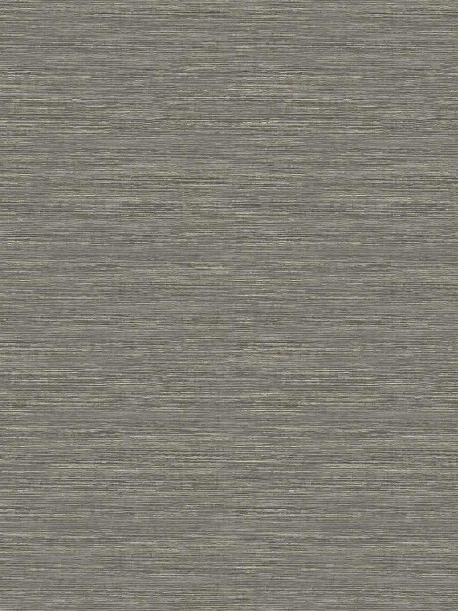 Saguaro – Graphite