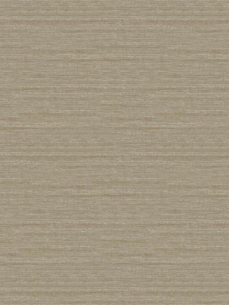 Saguaro – Elm