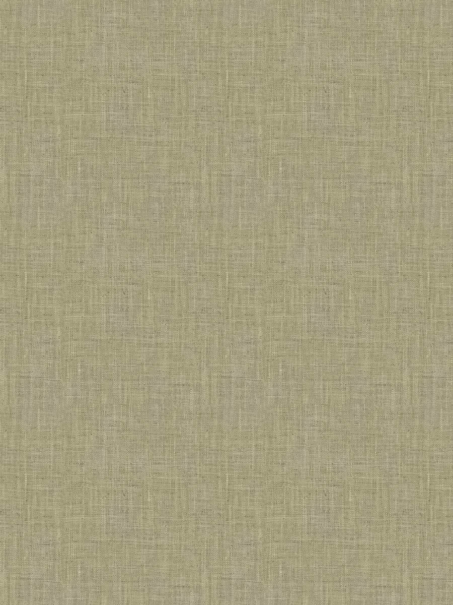 Phelps – Fern
