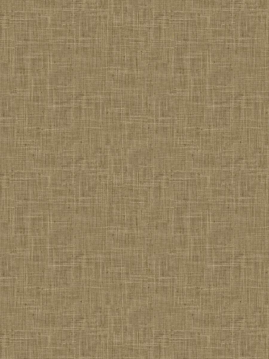 Katpana – Rattan
