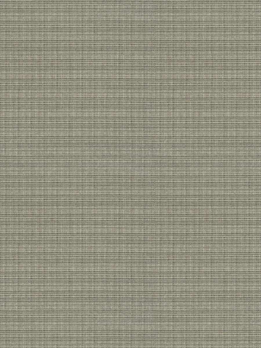 Prover – Hemp