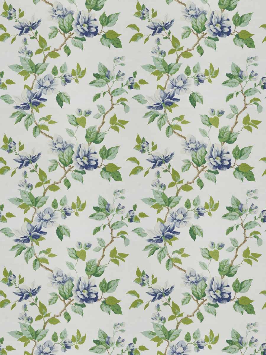 Bloom Season – Larkspur