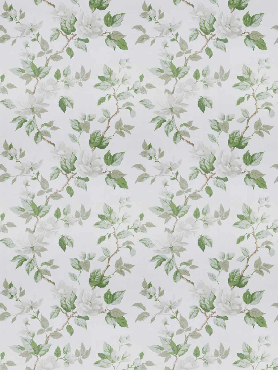 Bloom Season – Baby’s Breath