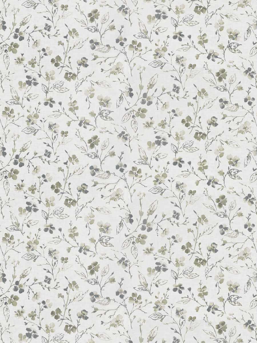 Fairchild Botanic – Dusty Miller