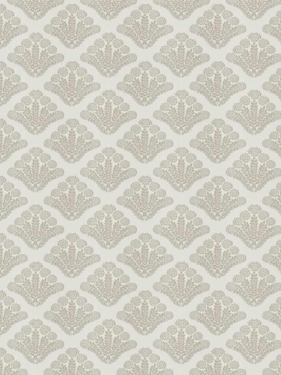 The Fine Gardner – Dusty Miller