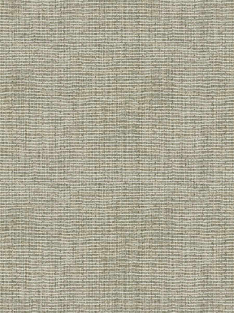 Ever Wonder – Corn Silk
