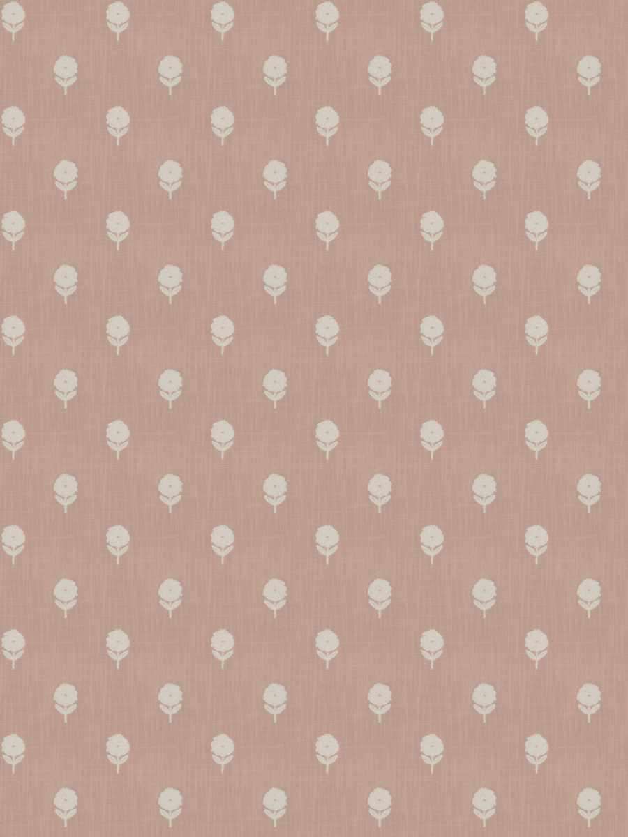Lovely Bloom – Blossom