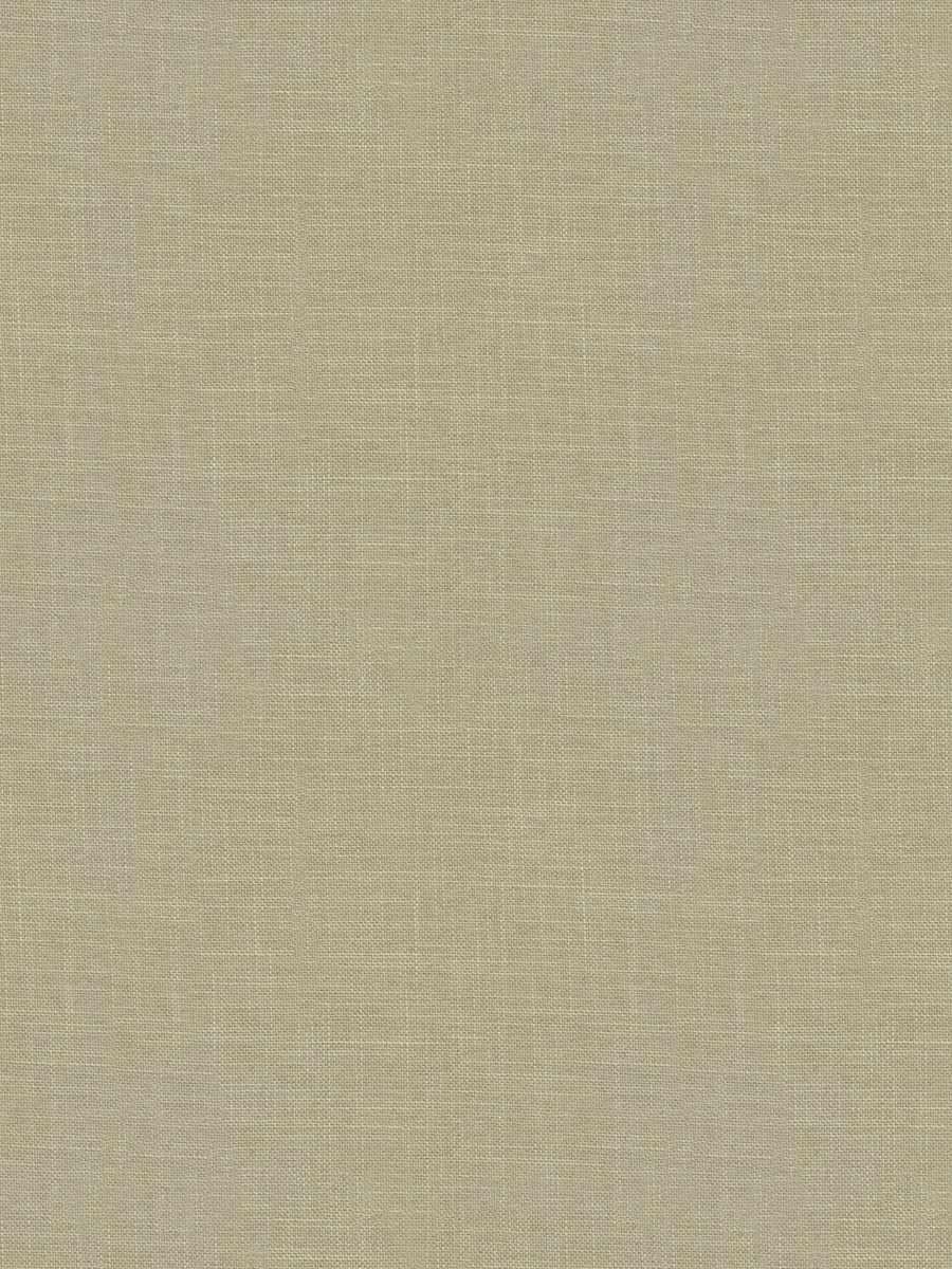 Daily Wish – Corn Silk