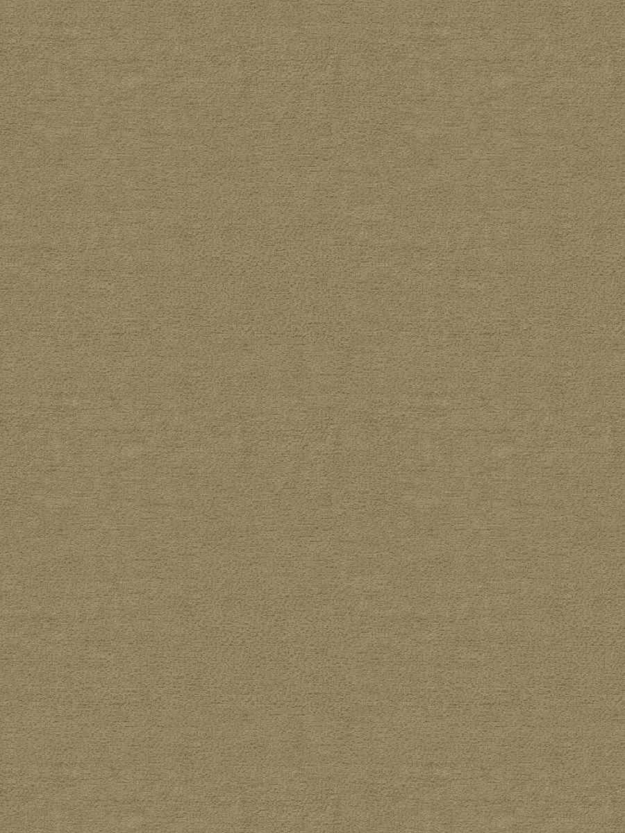 Hydraulics – Camel