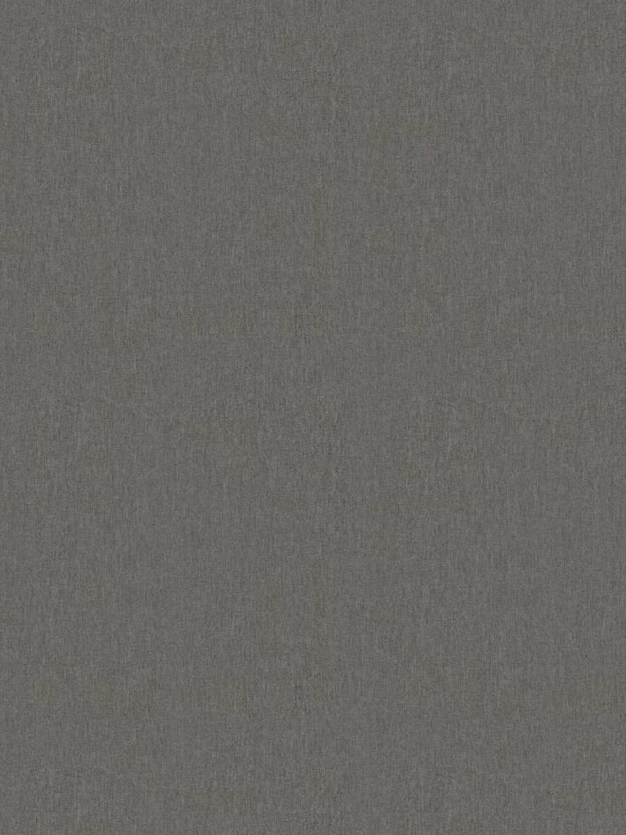 Wetlands – Pewter