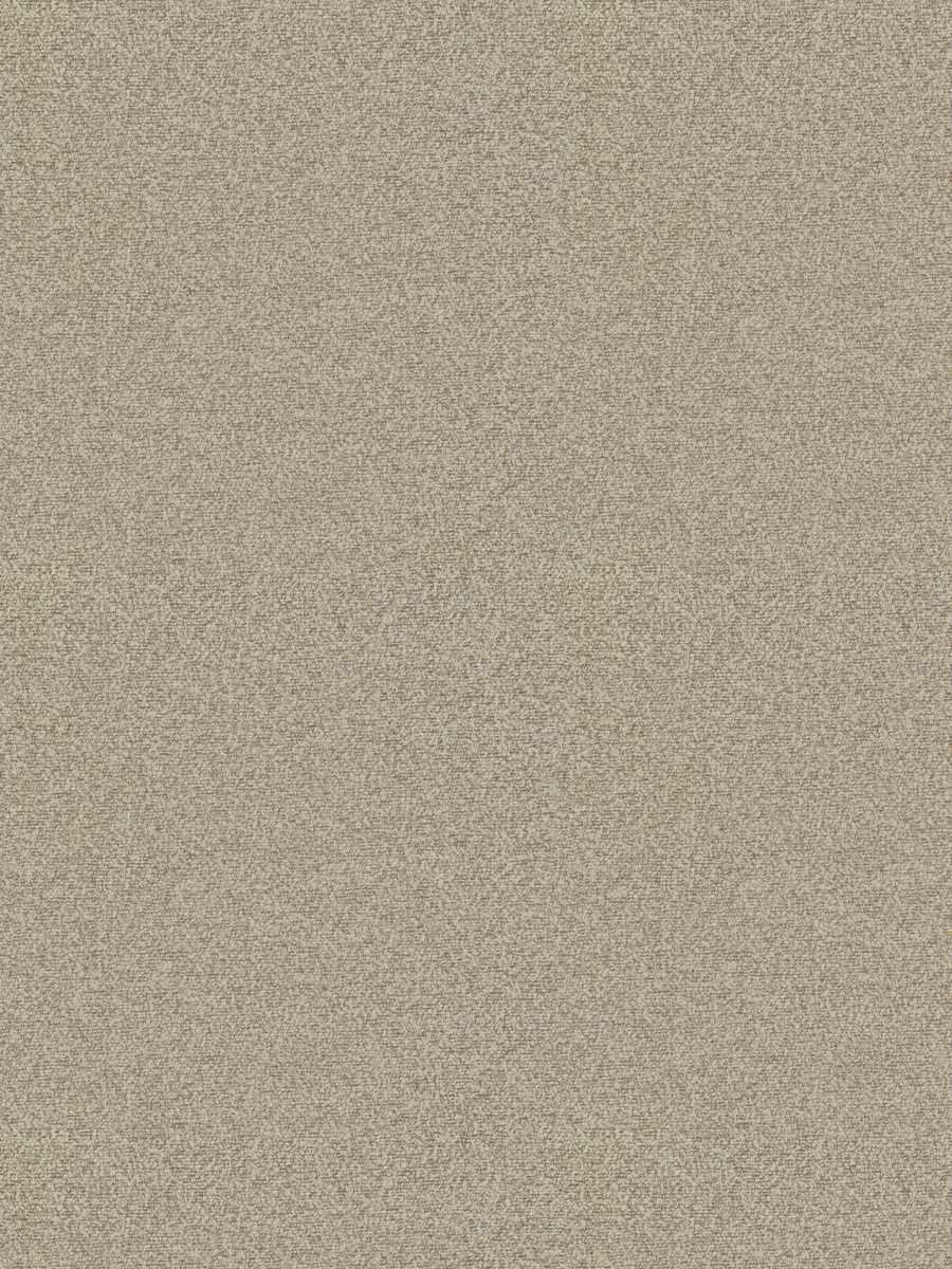 Porosity – Latte