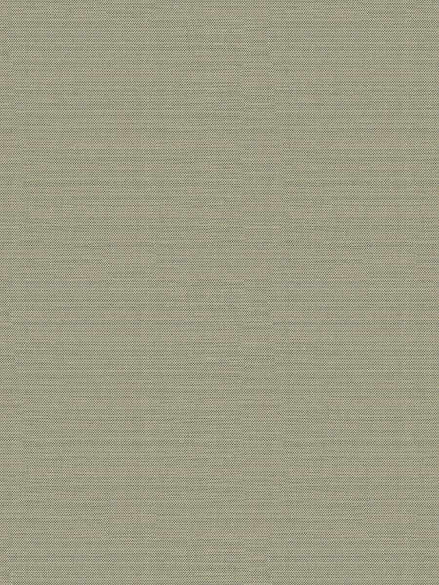 Anaerobic – Grass