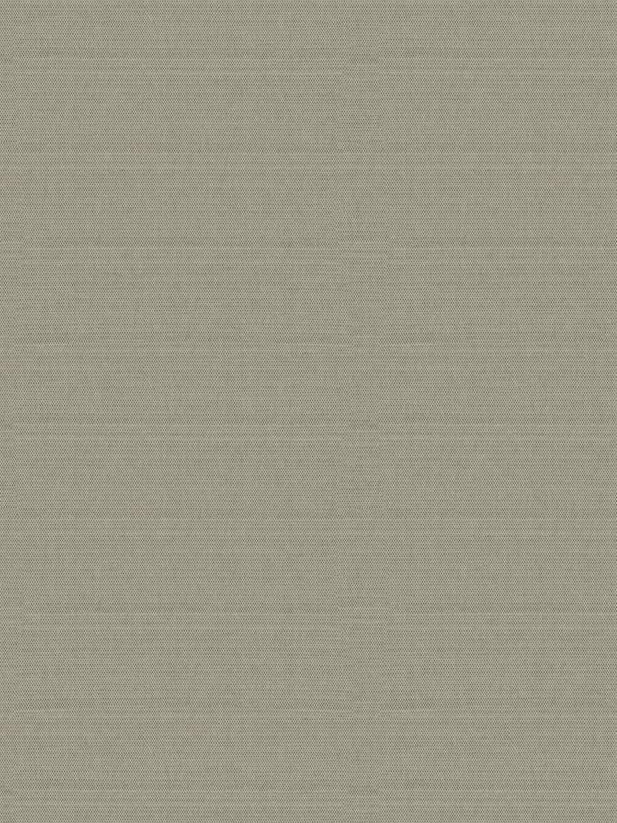Anaerobic – Taupe
