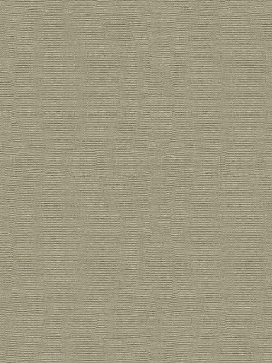 Anaerobic – Custard