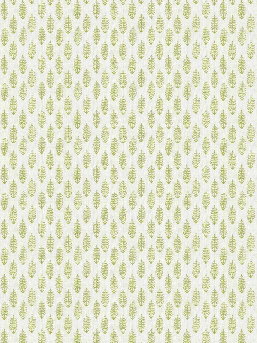 Moss Oasis – Celery