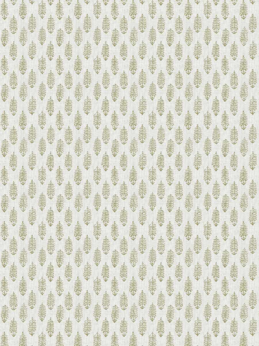 Moss Oasis – Dusty Miller