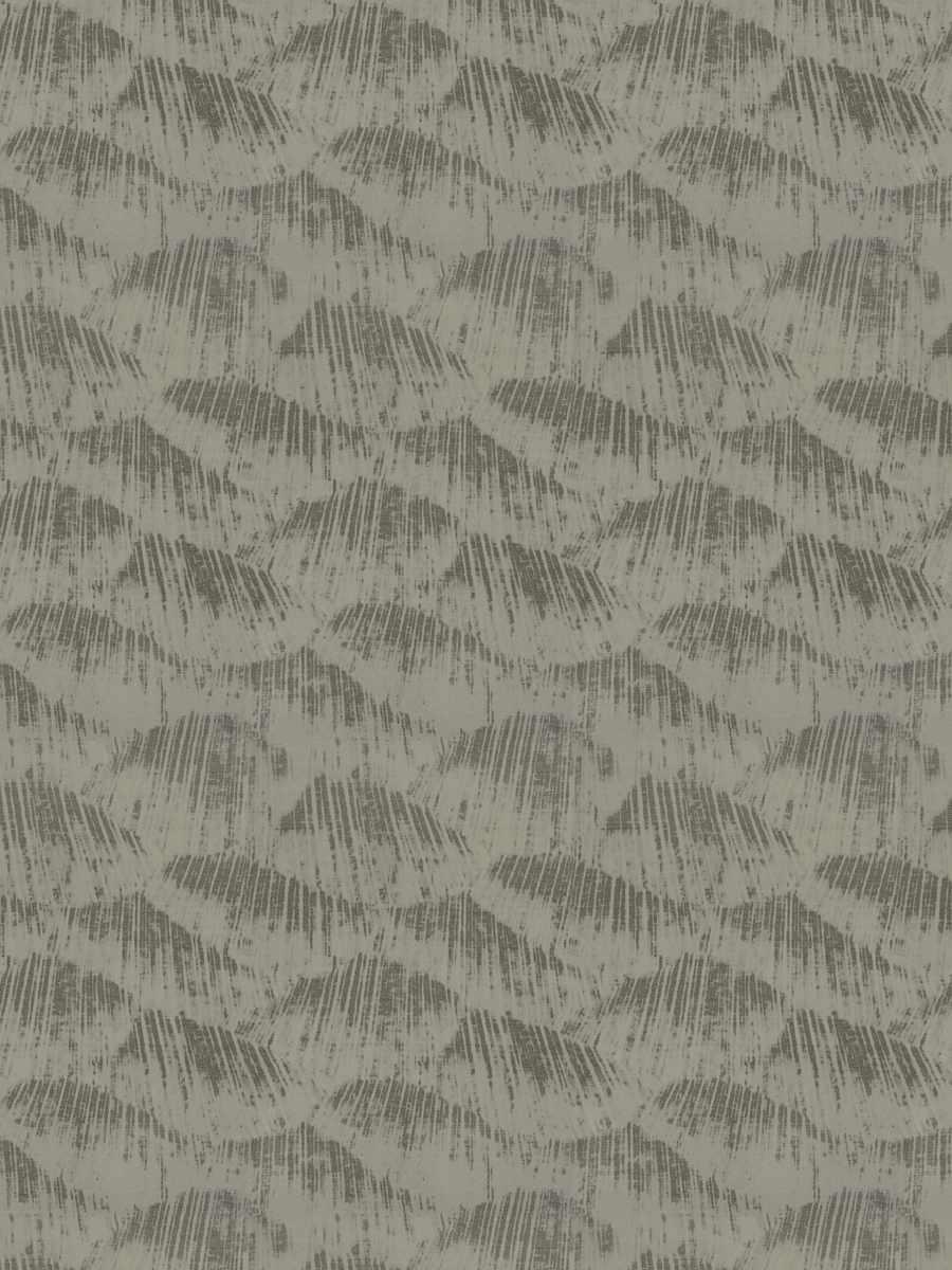 Bedarra – Graphite