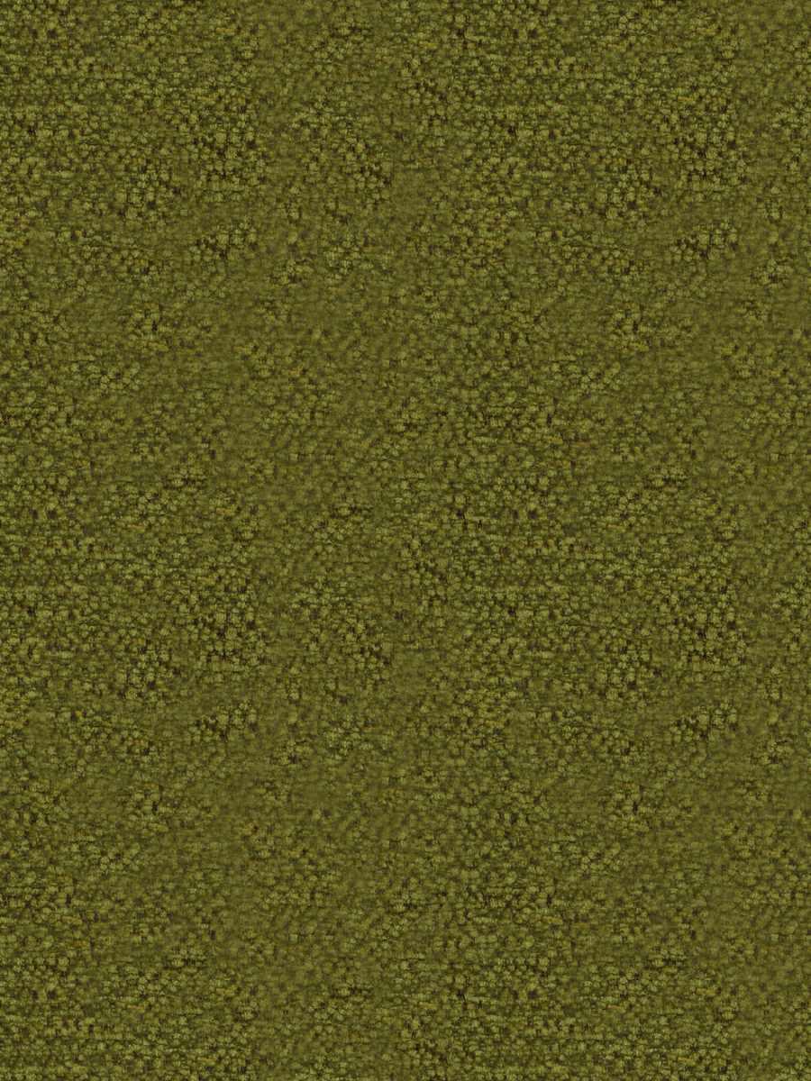Vada – Kiwi