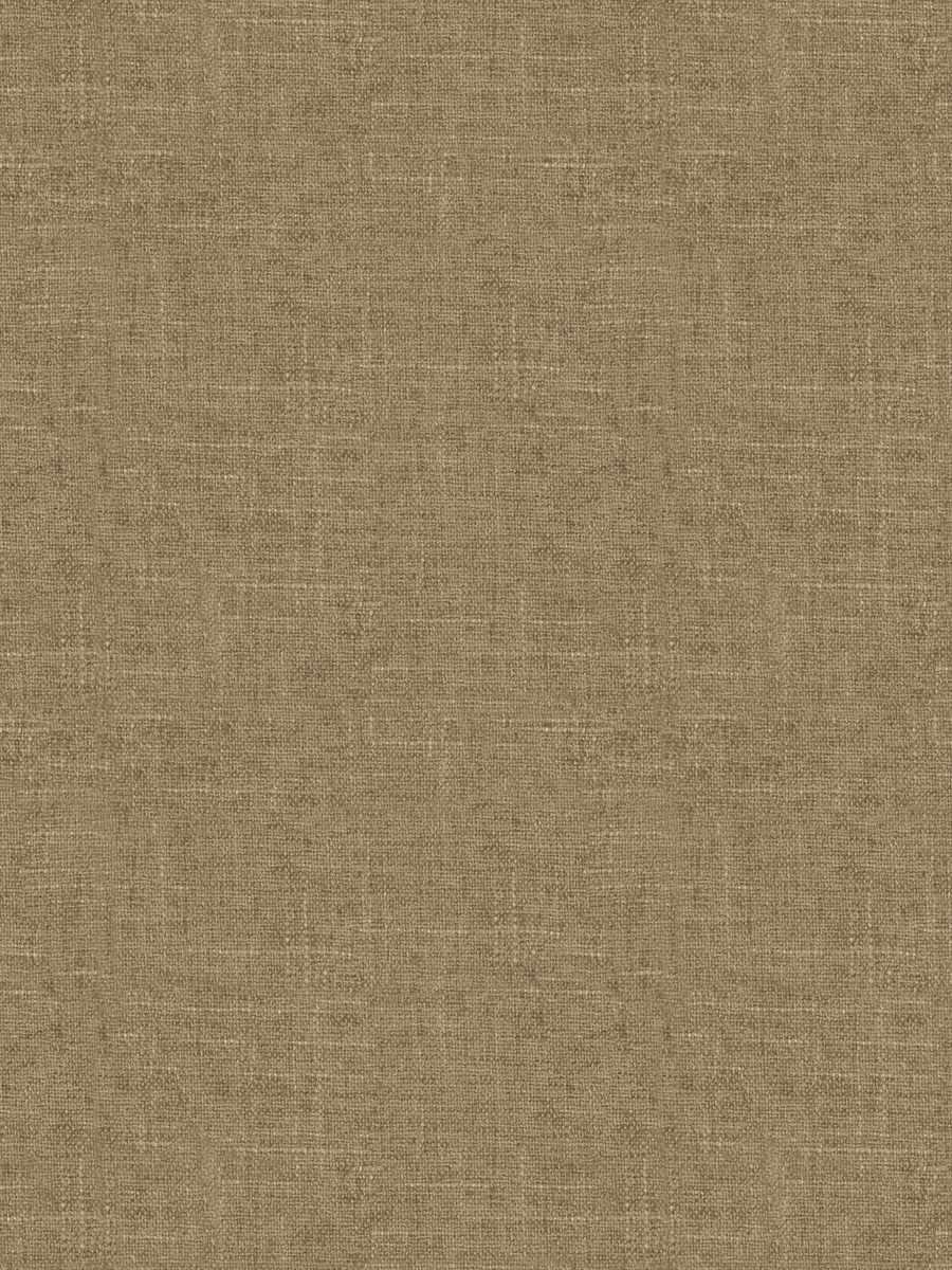 Burke – Camel