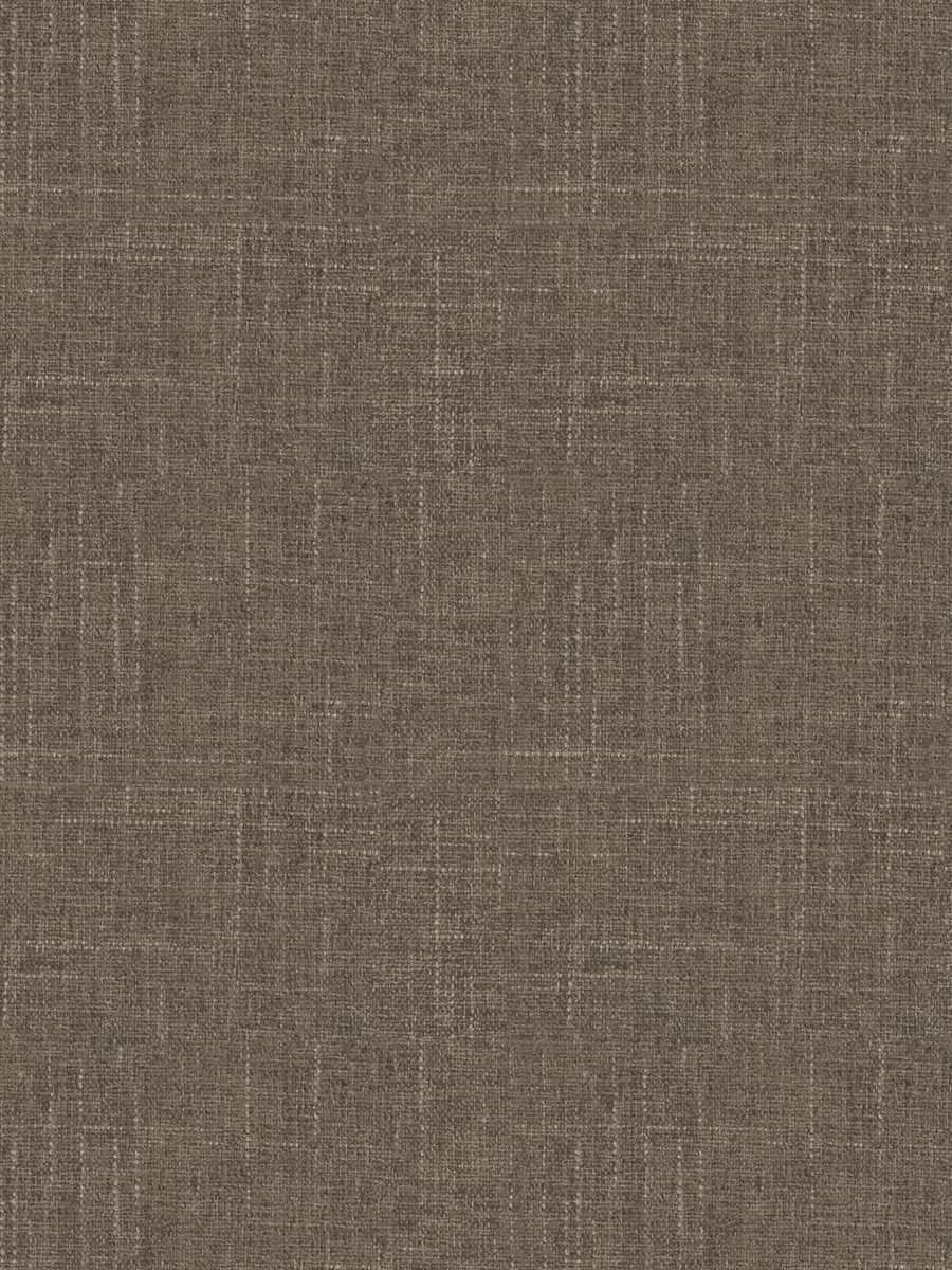Burke – Chinchilla