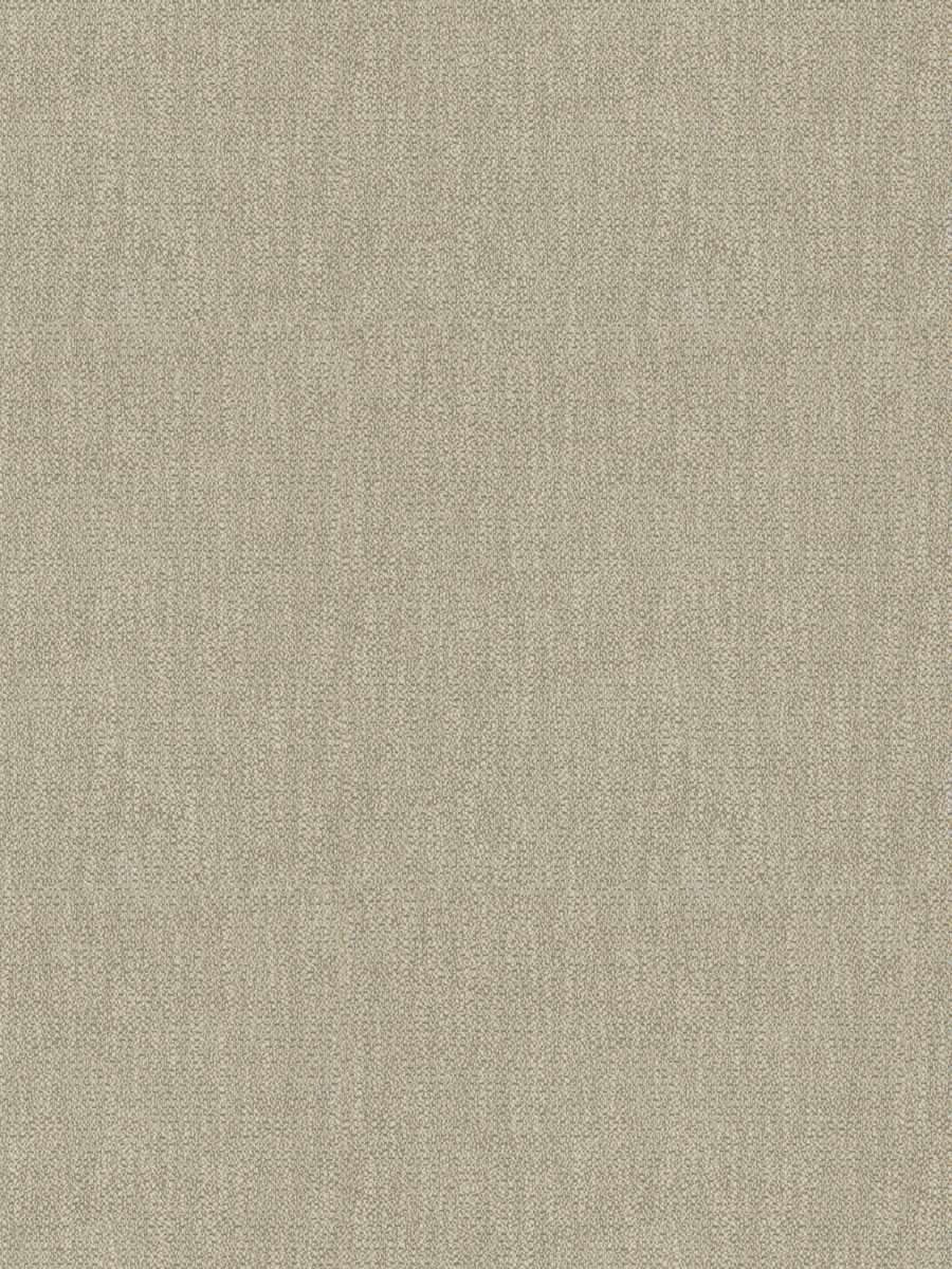 Willamette – Dove