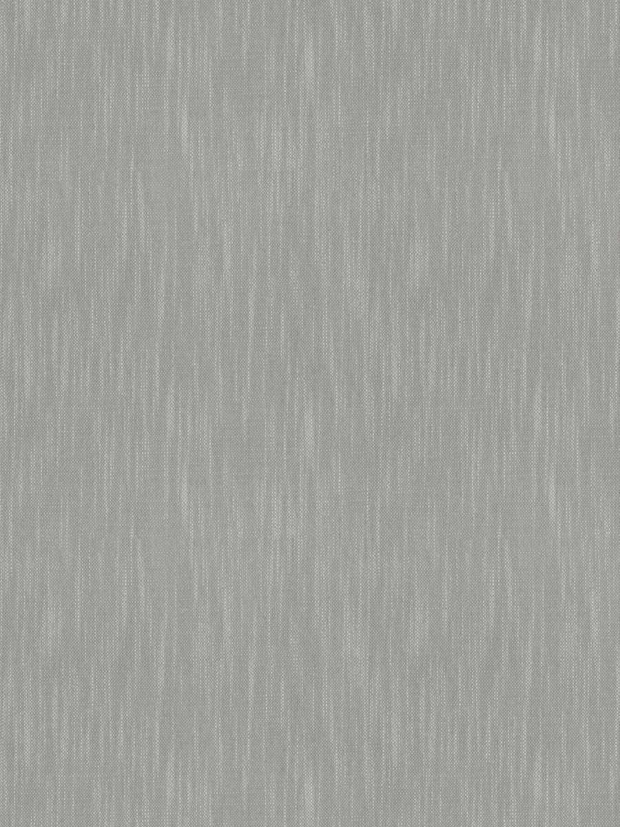 Middle Creek – Fog