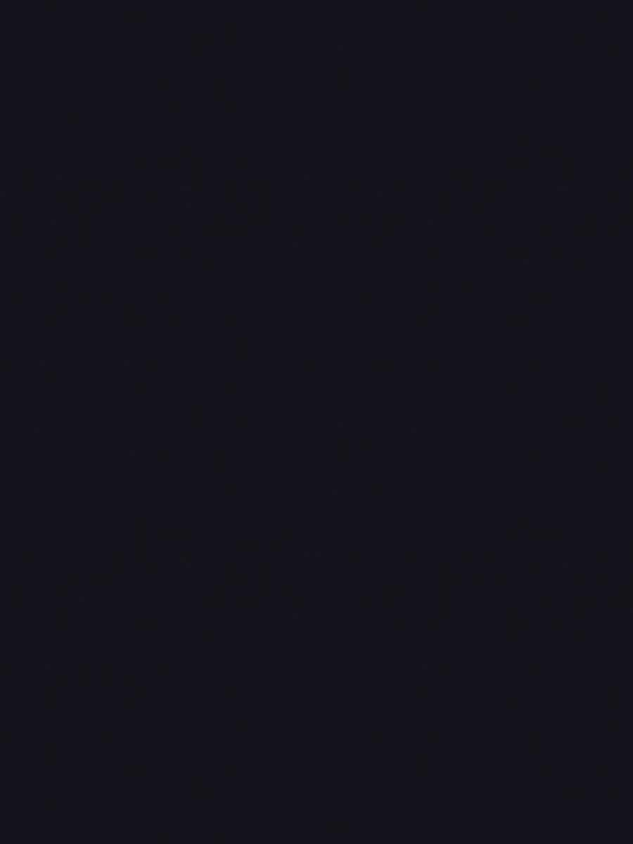 Bally – Navy