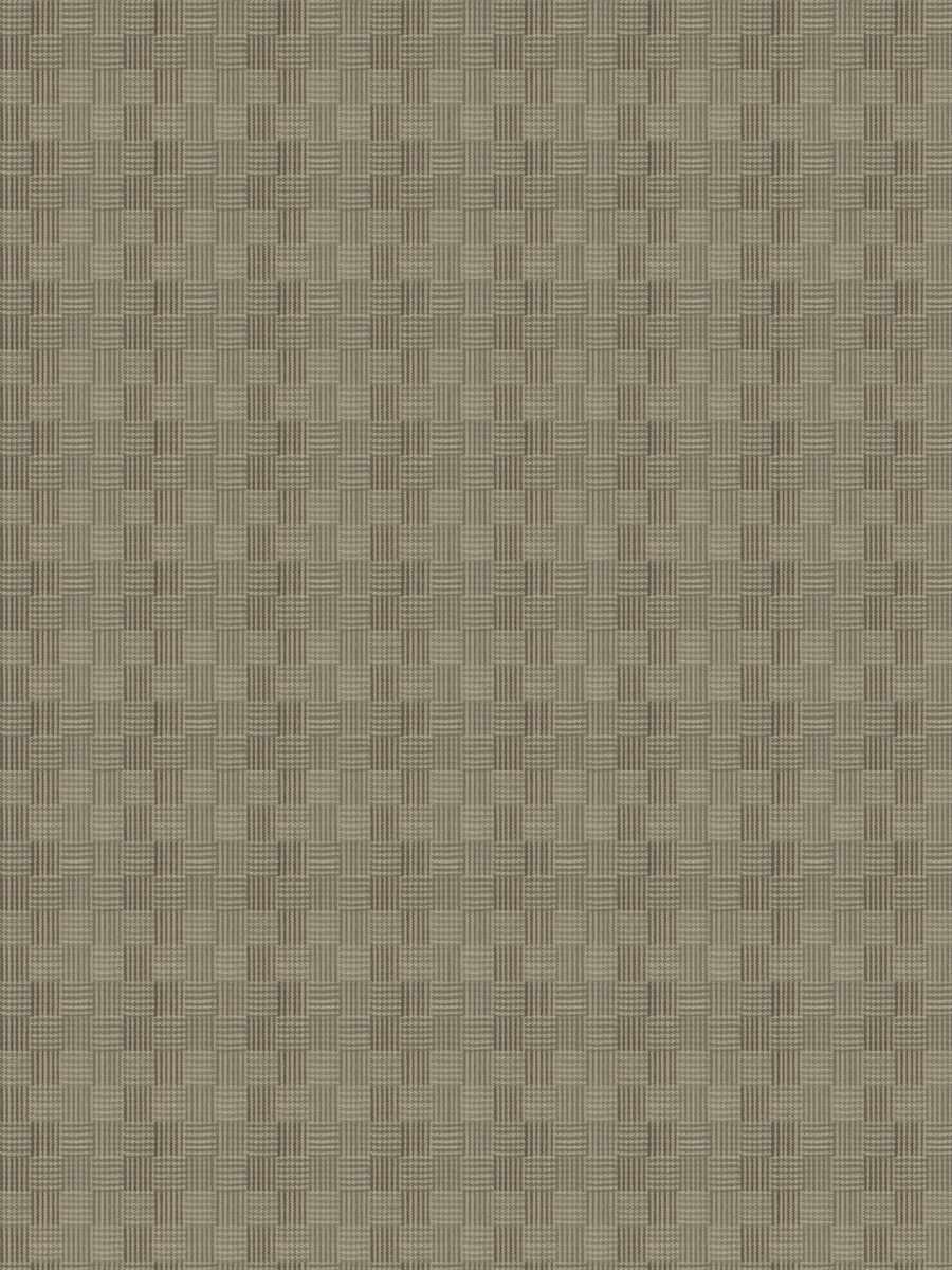 Pelee – Pewter